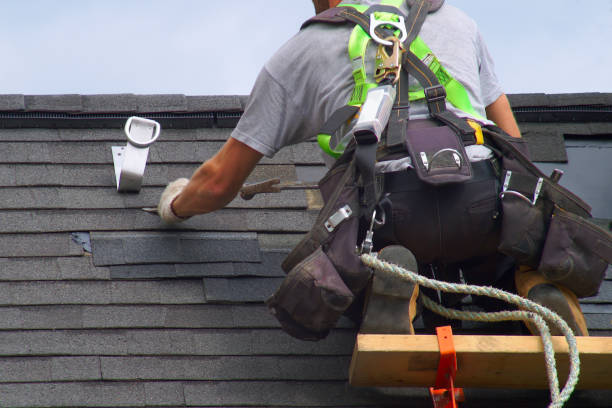 Best Steel Siding Installation  in Avondale Estates, GA