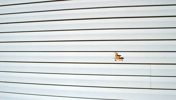 Best Custom Siding Design  in Avondale Estates, GA